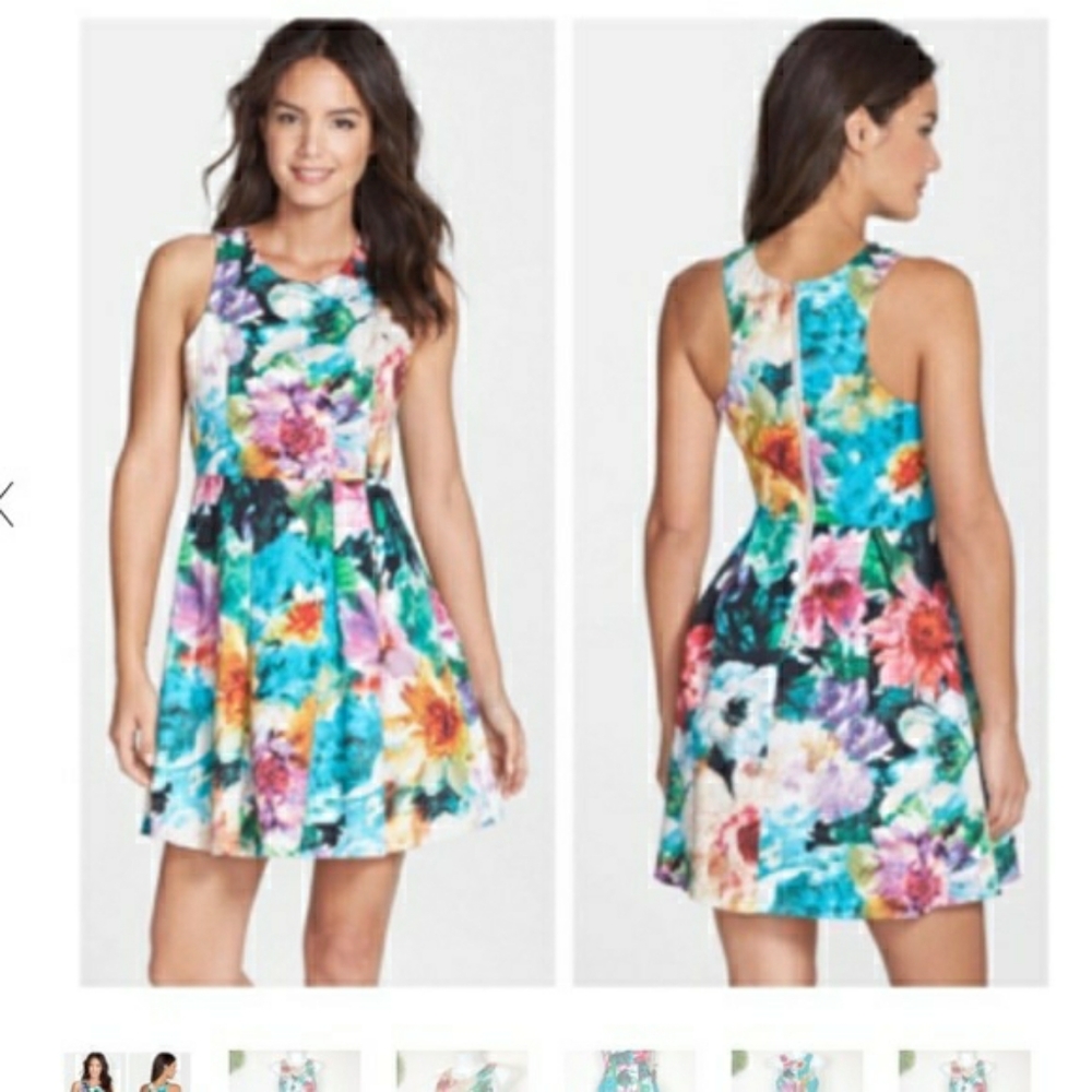Felicity & Coco Small Floral Fit Flare Dress